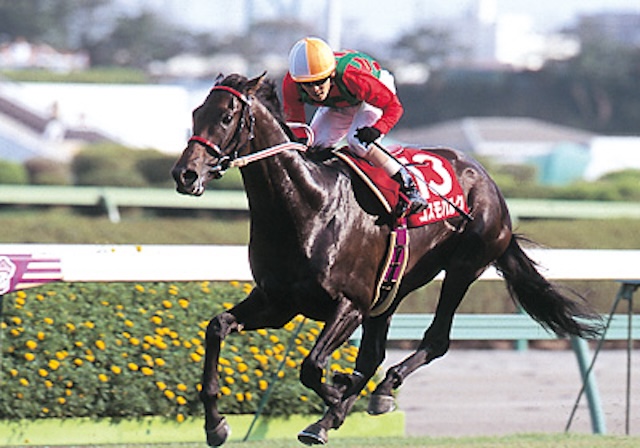 地方競馬の最強馬第5位「コスモバルク」