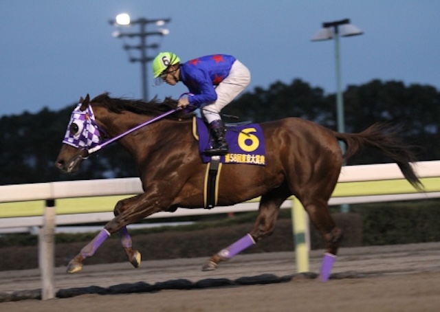 地方競馬の最強馬第2位「フリオーソ」