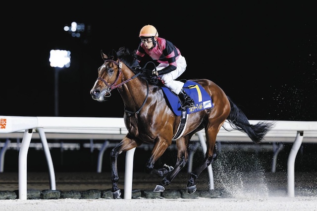 2025年最強馬ソルジャーフィールド