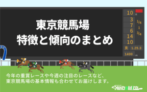 東京競馬場の特徴画像
