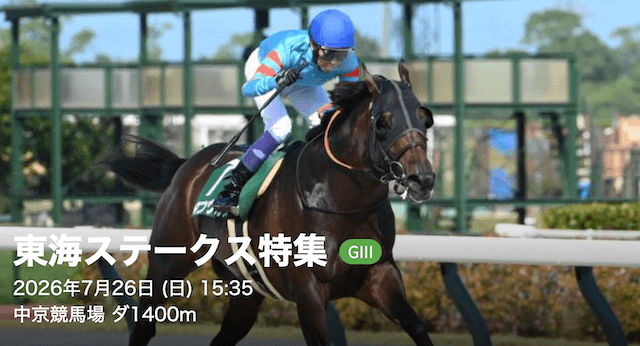 中京競馬場 次回の注目レース 東海ステークス 画像