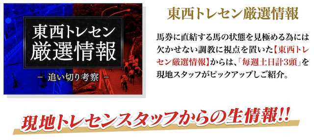 H.R.Iセンチュリオンといいう競馬予想サイトの特徴の画像1