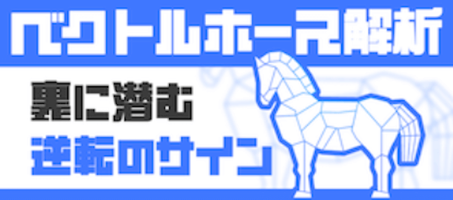 ベクトルホース解析