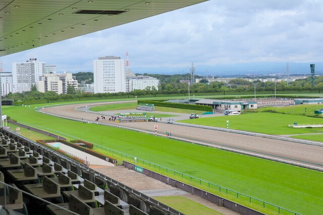 競馬場の距離別