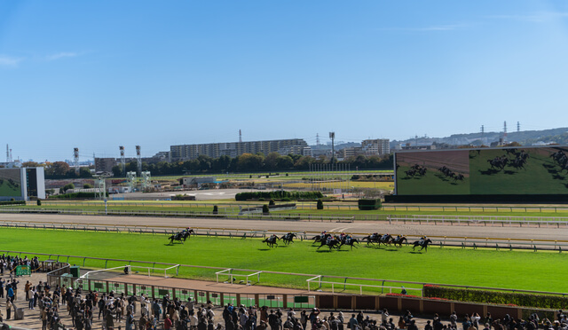 馬場・コースによるレースの種類