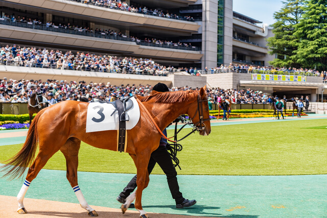 競馬の斤量に関するレース