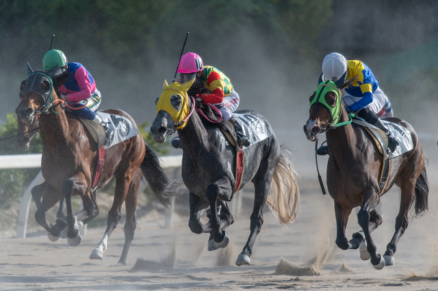 魅力がある伝説のレース