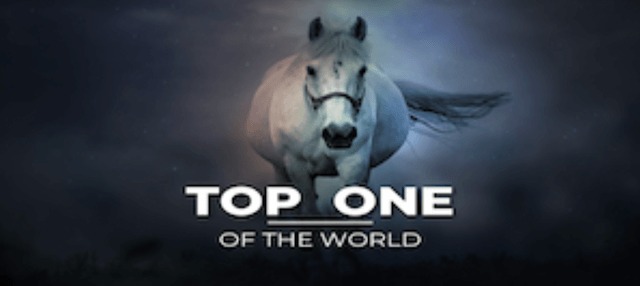 TOP ONE