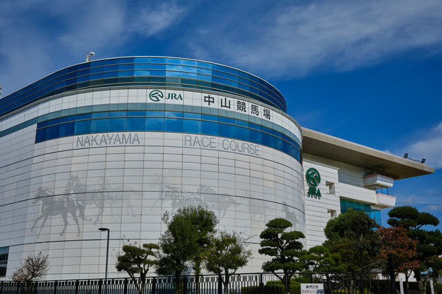 競馬の文化からわかる魅力