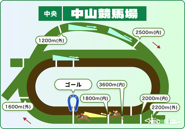 中山競馬場芝コース