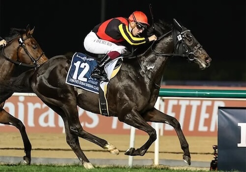 シャフリヤール