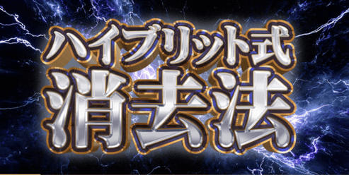 ハイブリット式消去法