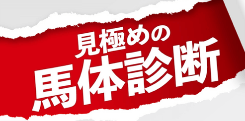 見極めの媒体