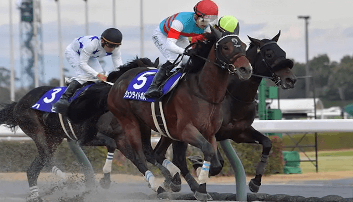 ジュンライトボルト