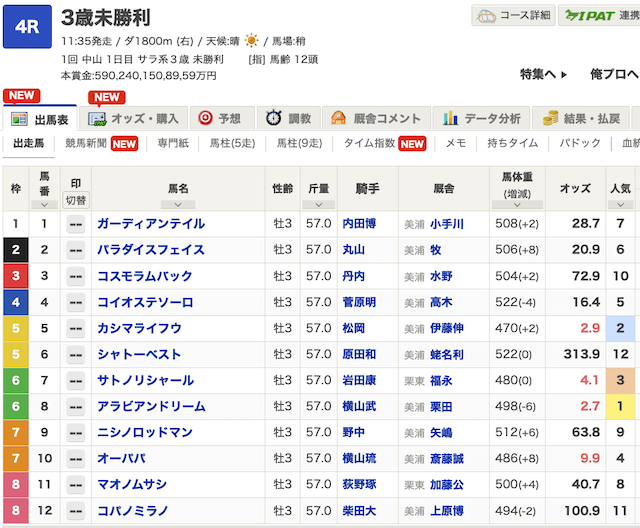 2026年1月4日中山4Rの出走表の画像