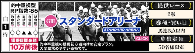 スタンダードアリーナ