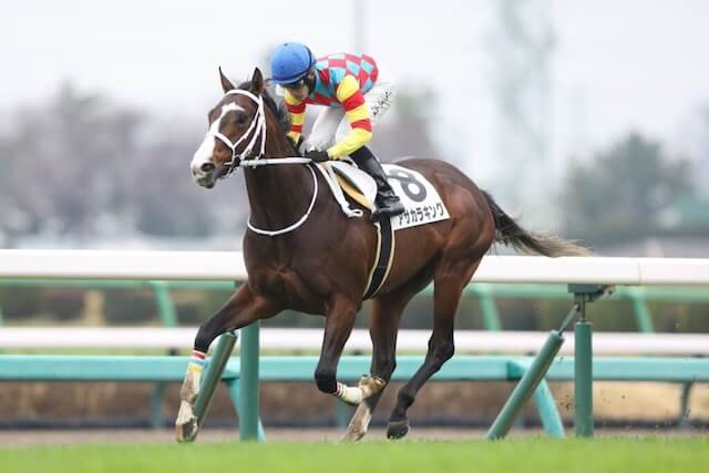 アサカラキング