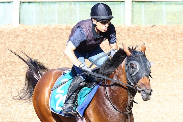 ディアナザール