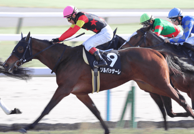 チューリップ賞2026に出走するソルパッサーレの画像