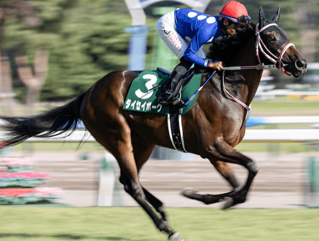 チューリップ賞2026に出走するタイセイボーグの画像