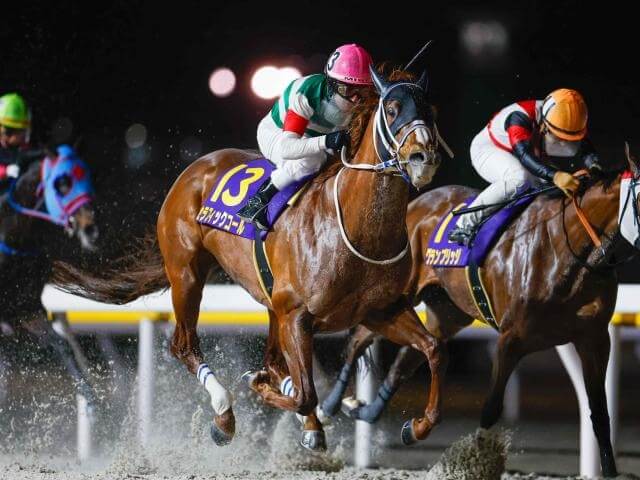 船橋競馬場のダートコース