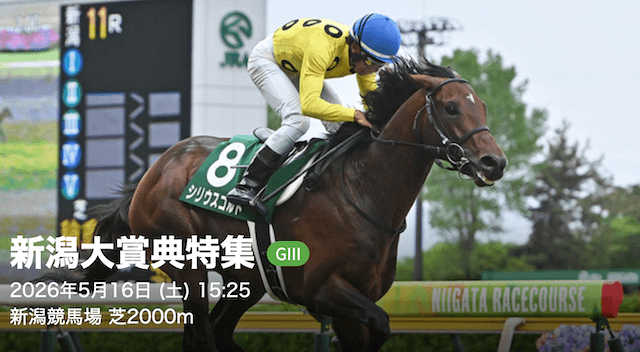 新潟競馬場 注目レース 新潟大賞典