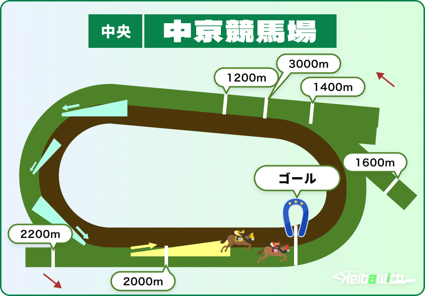 中京競馬場の芝全コース画像