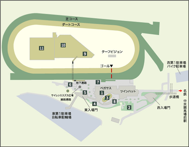 中京競馬場の基本情報 会場全体図