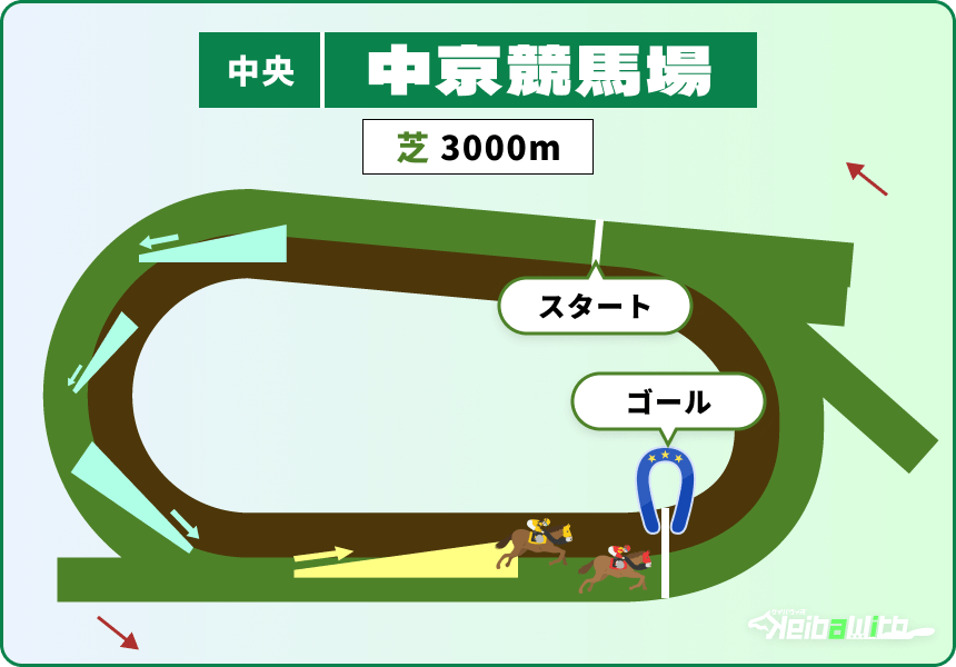 中京競馬場芝コース3000m画像