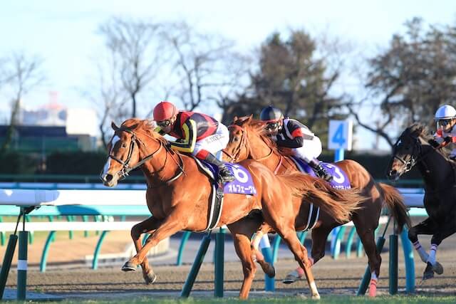 歴代最強馬:オルフェーヴル