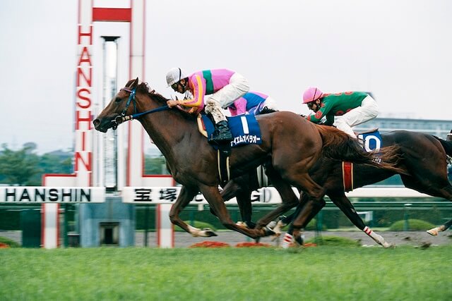 歴代最強馬:テイエムオペラオー