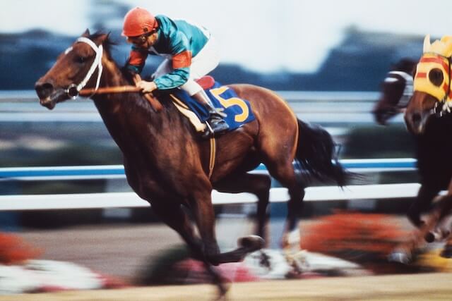 歴代最強馬:シンボリルドルフ