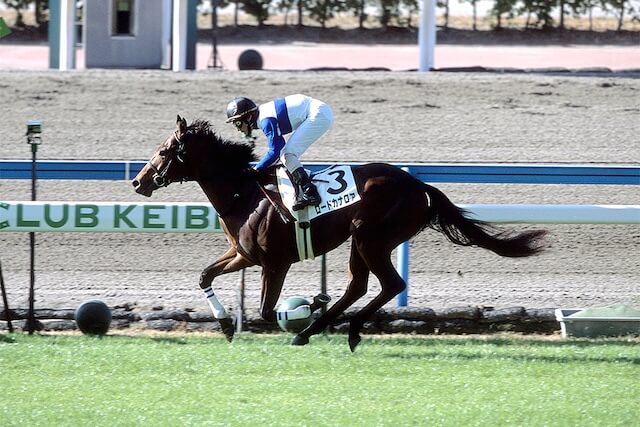 歴代最強馬:ロードカナロア