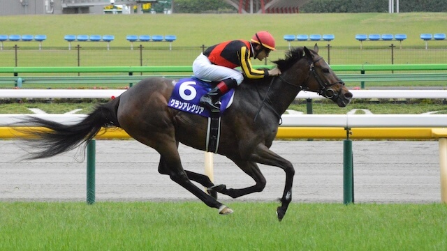 勝川和馬が選ぶ最強馬:グランアレグリア──マイル最強を数字で証明した完成形