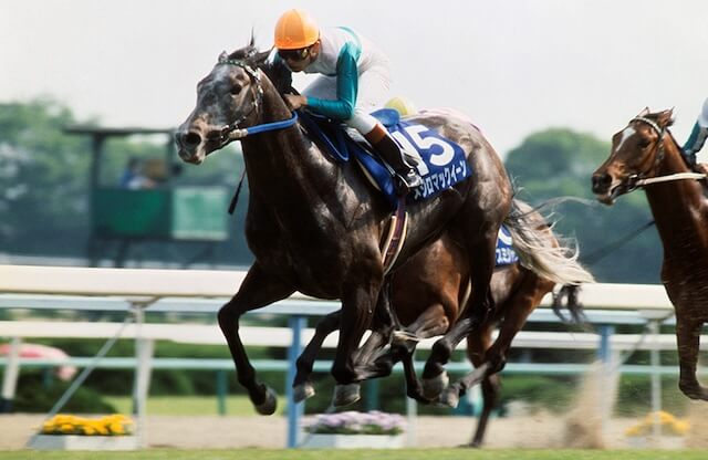 馬卍清が選ぶ最強馬:メジロマックイーン──長距離という戦場で誰も寄せ付けなかった王者