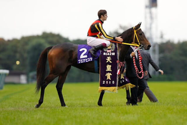 牝馬部門の歴代最強馬:ブエナビスタ