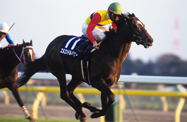 海外G1を制した日本調教馬の最強馬:エルコンドルパサー